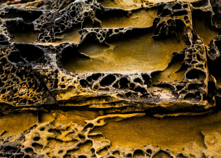Sandstone Carvings